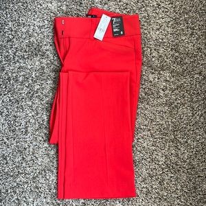 New York and Company Slacks